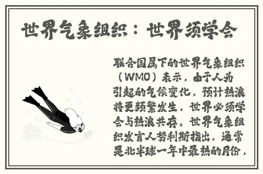 成品网站源码1688免费推荐